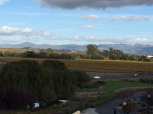 Domaine Carneros view